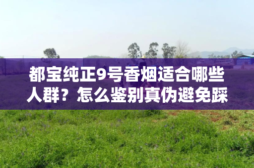 都宝纯正9号香烟适合哪些人群？怎么鉴别真伪避免踩坑？